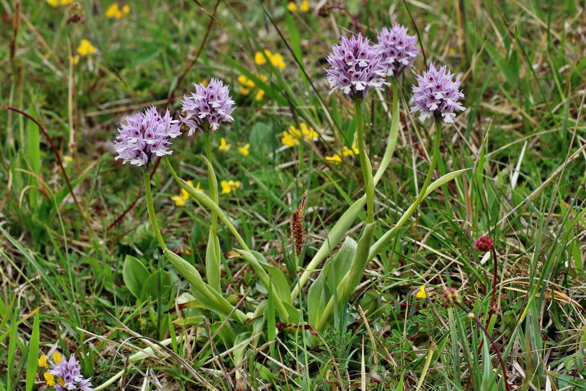 IMG-2016-05-18-00015378p_Bildgr��e �ndern