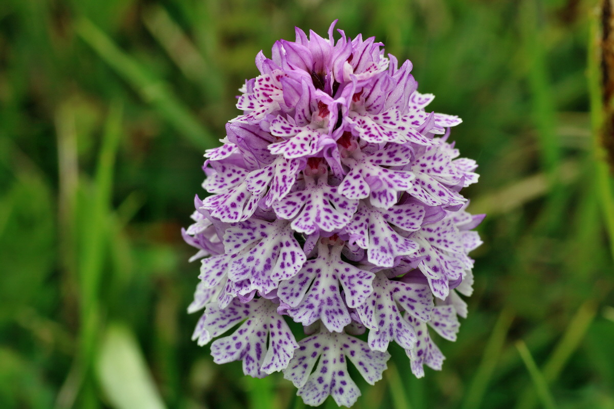 IMG-2016-05-18-00015400p_Bildgr��e �ndern