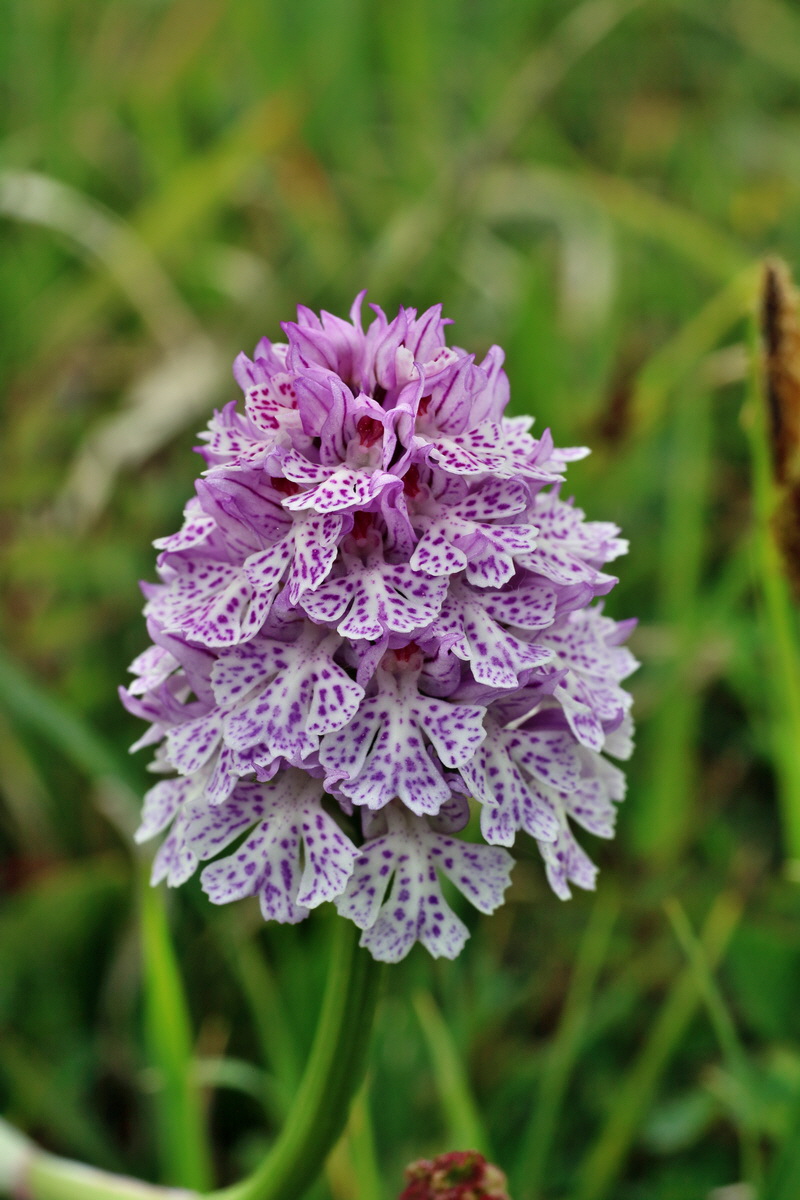 IMG-2016-05-18-00015402p_Bildgr��e �ndern