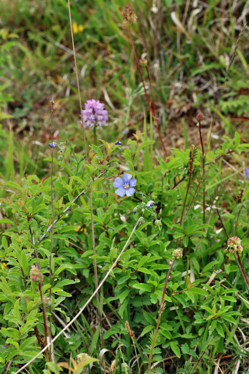 IMG-2016-05-18-00015413p_Bildgr��e �ndern