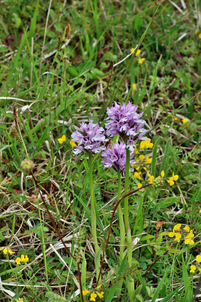 IMG-2016-05-18-00015416p_Bildgr��e �ndern