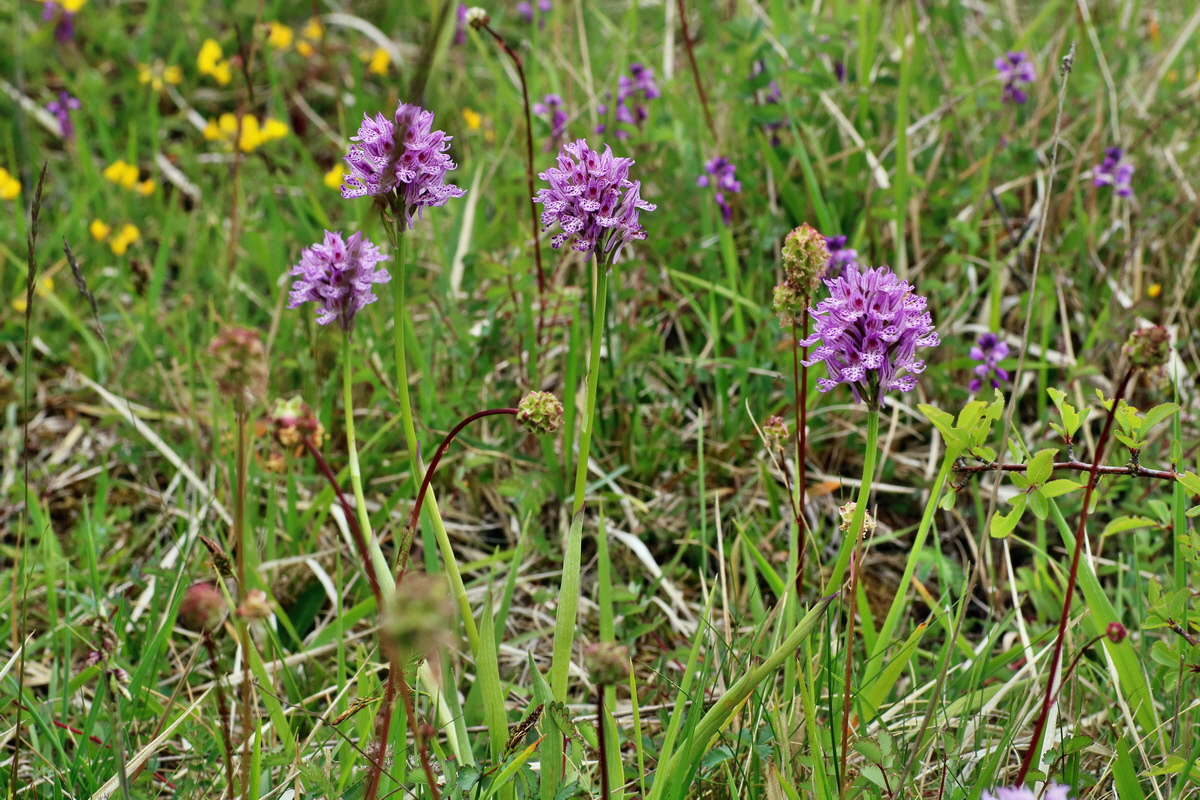 IMG-2016-05-18-00015419p_Bildgr��e �ndern