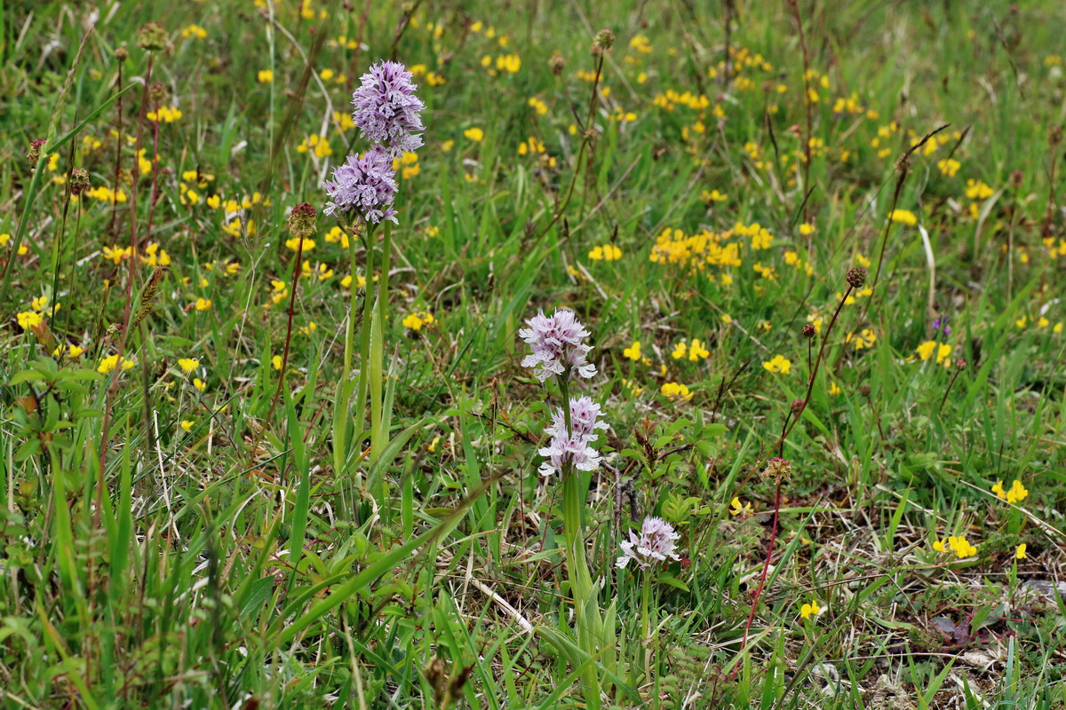 IMG-2016-05-18-00015424p_Bildgr��e �ndern