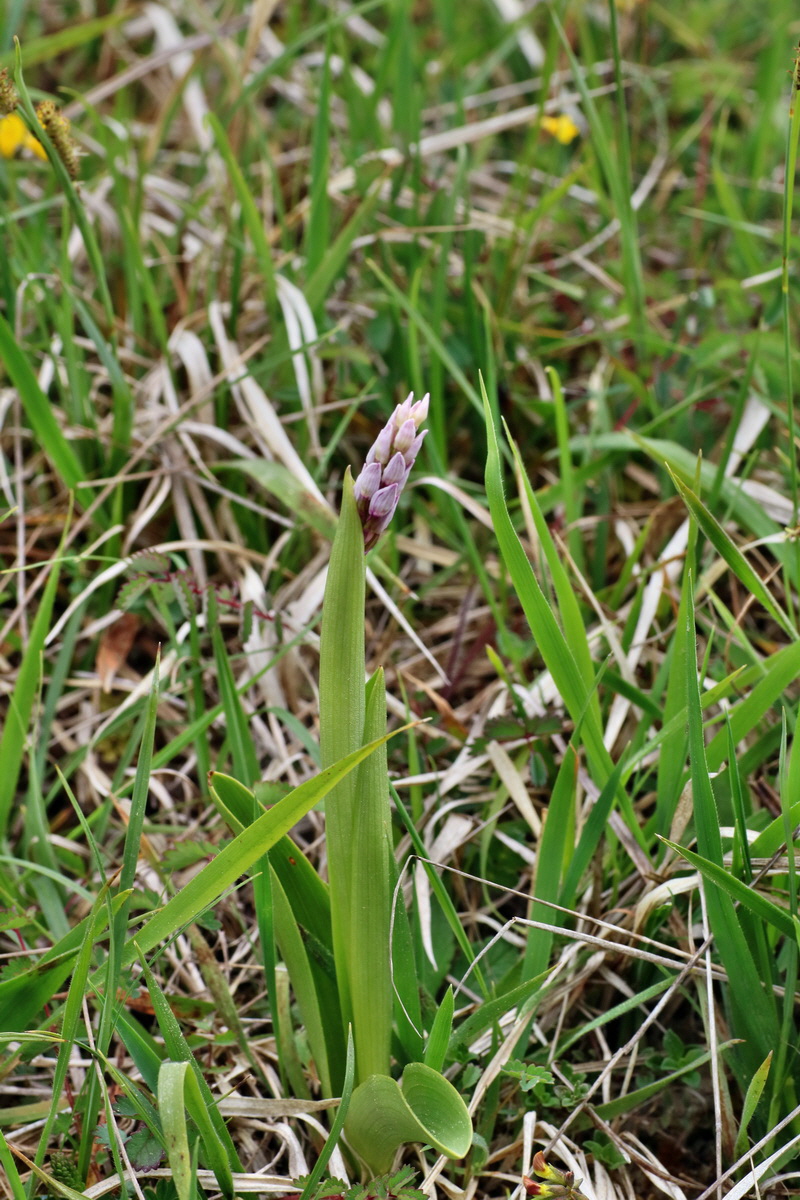 IMG-2016-05-18-00015433p_Bildgr��e �ndern