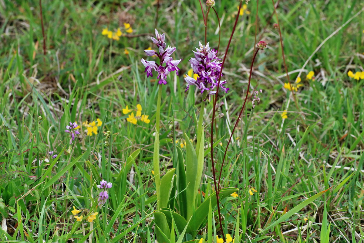 IMG-2016-05-18-00015435p_Bildgr��e �ndern