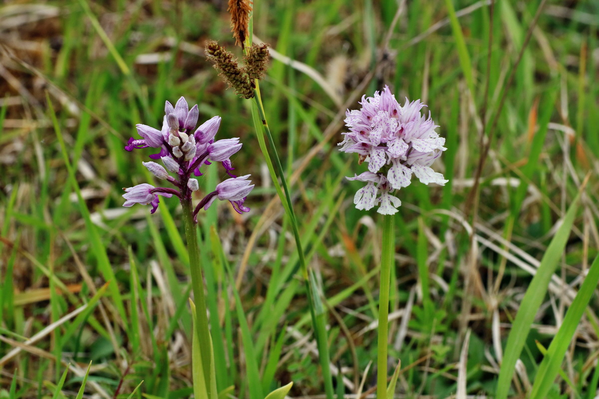 IMG-2016-05-18-00015437p_Bildgr��e �ndern