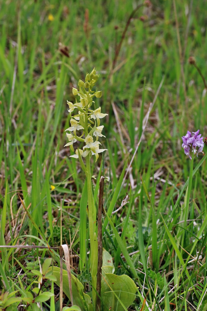 IMG-2016-05-18-00015442p_Bildgr��e �ndern