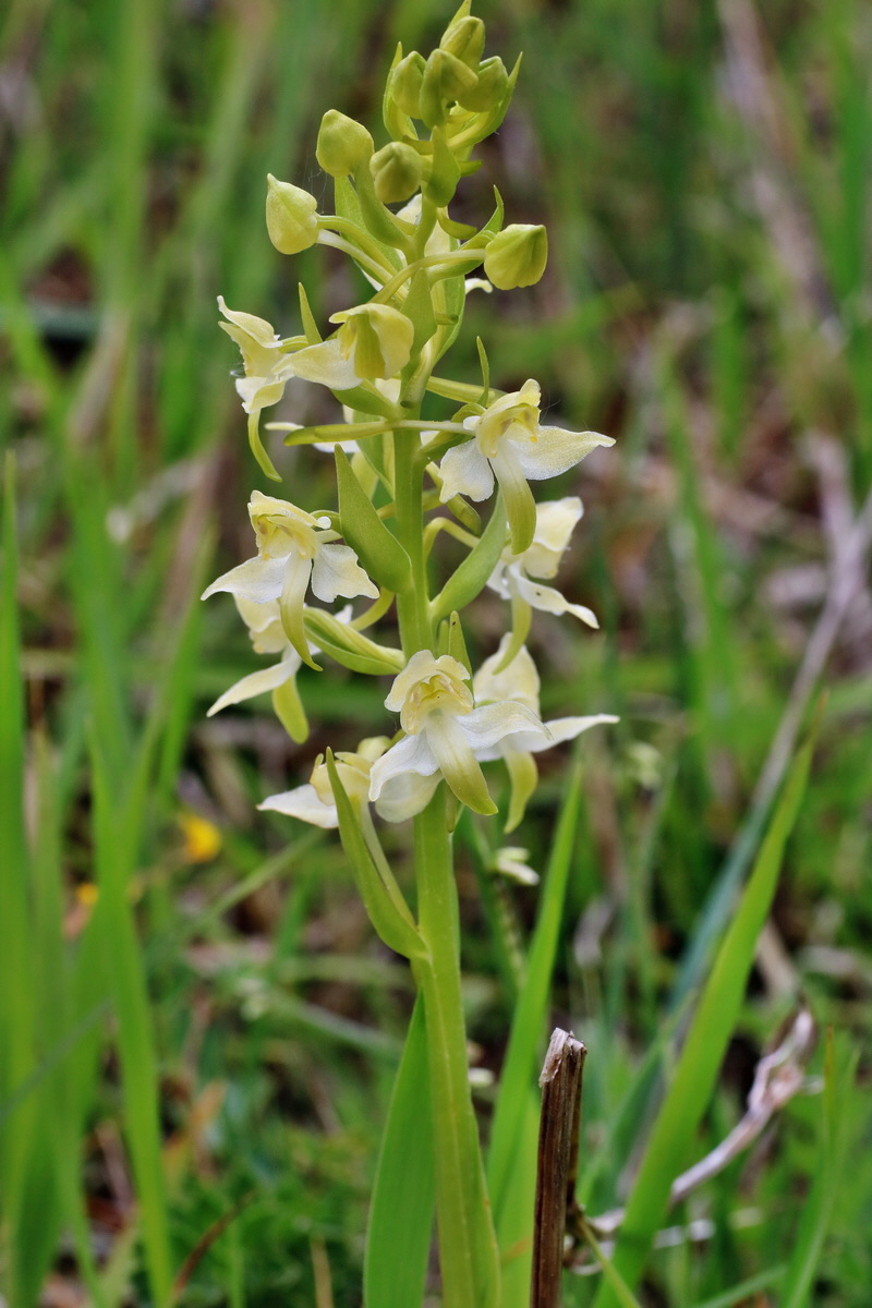 IMG-2016-05-18-00015448p_Bildgr��e �ndern