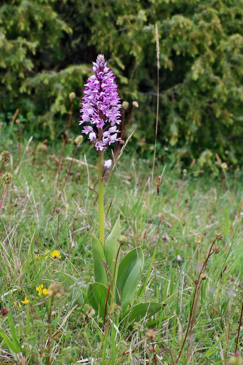 IMG-2016-05-18-00015451p_Bildgr��e �ndern