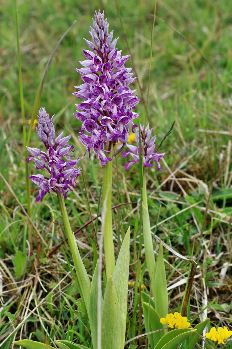 IMG-2016-05-18-00015464p_Bildgr��e �ndern