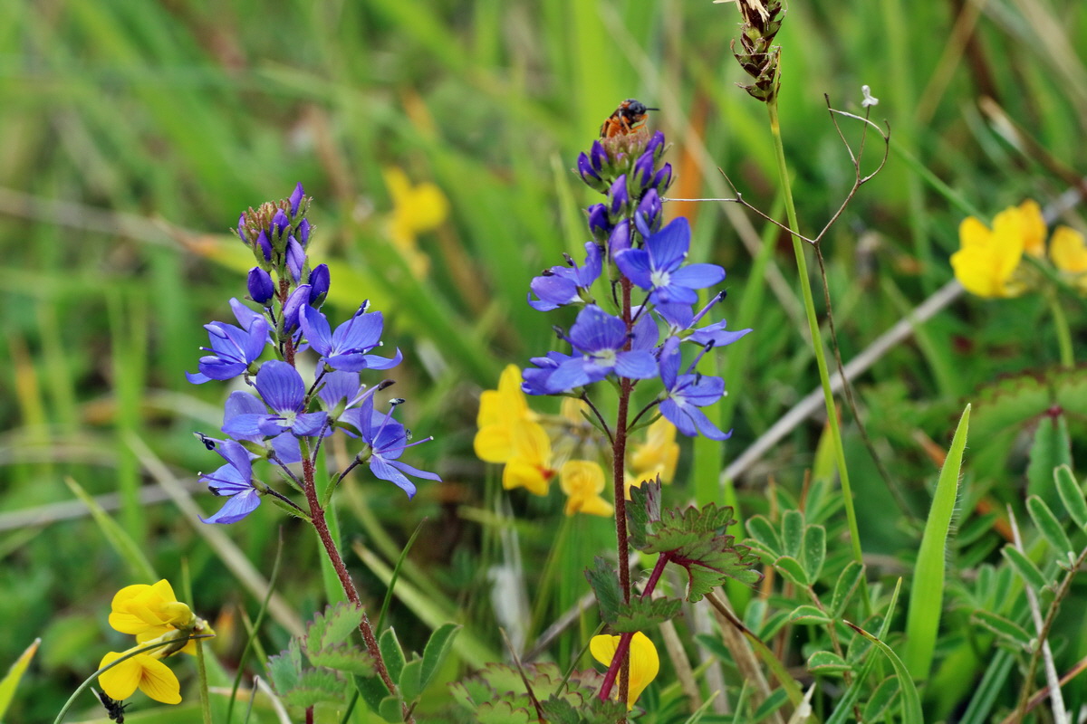 IMG-2016-05-18-00015474p_Bildgr��e �ndern