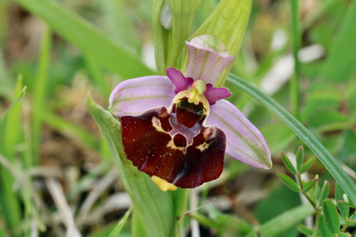 IMG-2016-05-18-00015481p_Bildgr��e �ndern