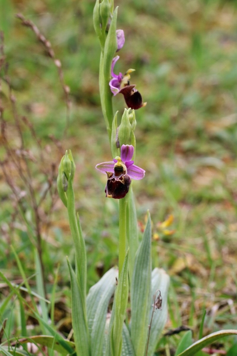 IMG-2016-05-18-00015486p_Bildgr��e �ndern