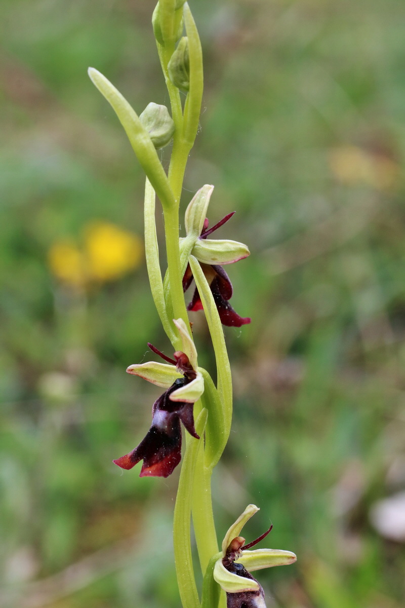 IMG-2016-05-18-00015496p_Bildgr��e �ndern