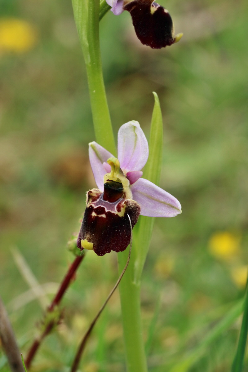 IMG-2016-05-18-00015499p_Bildgr��e �ndern