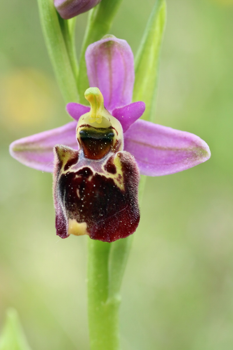 IMG-2016-05-18-00015503p_Bildgr��e �ndern