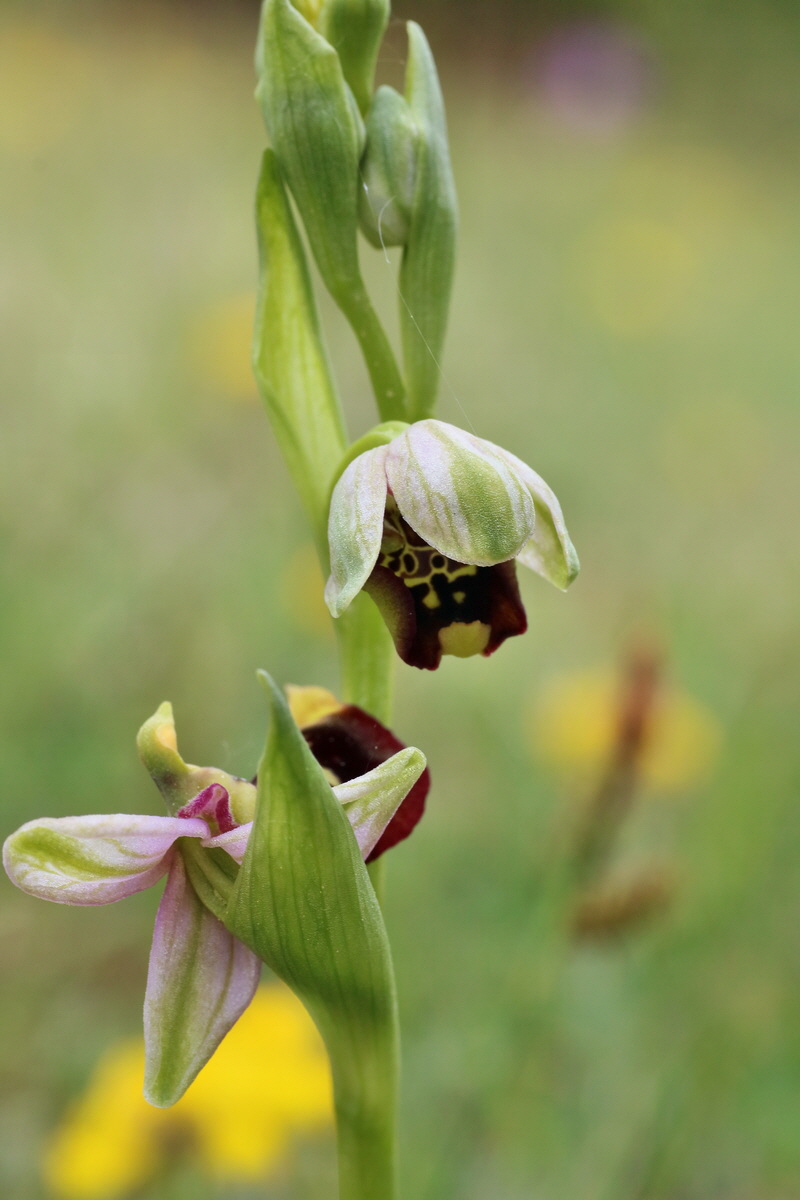 IMG-2016-05-18-00015505p_Bildgr��e �ndern