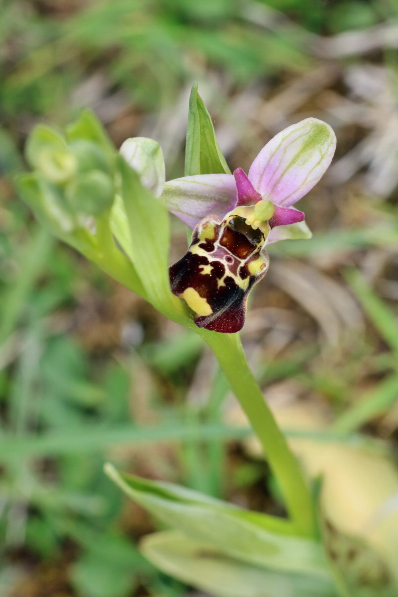 IMG-2016-05-18-00015507p_Bildgr��e �ndern