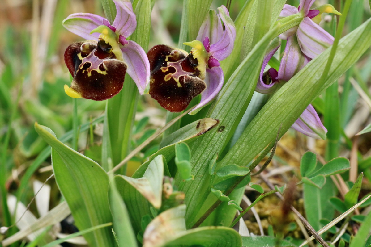 IMG-2016-05-18-00015513p_Bildgr��e �ndern