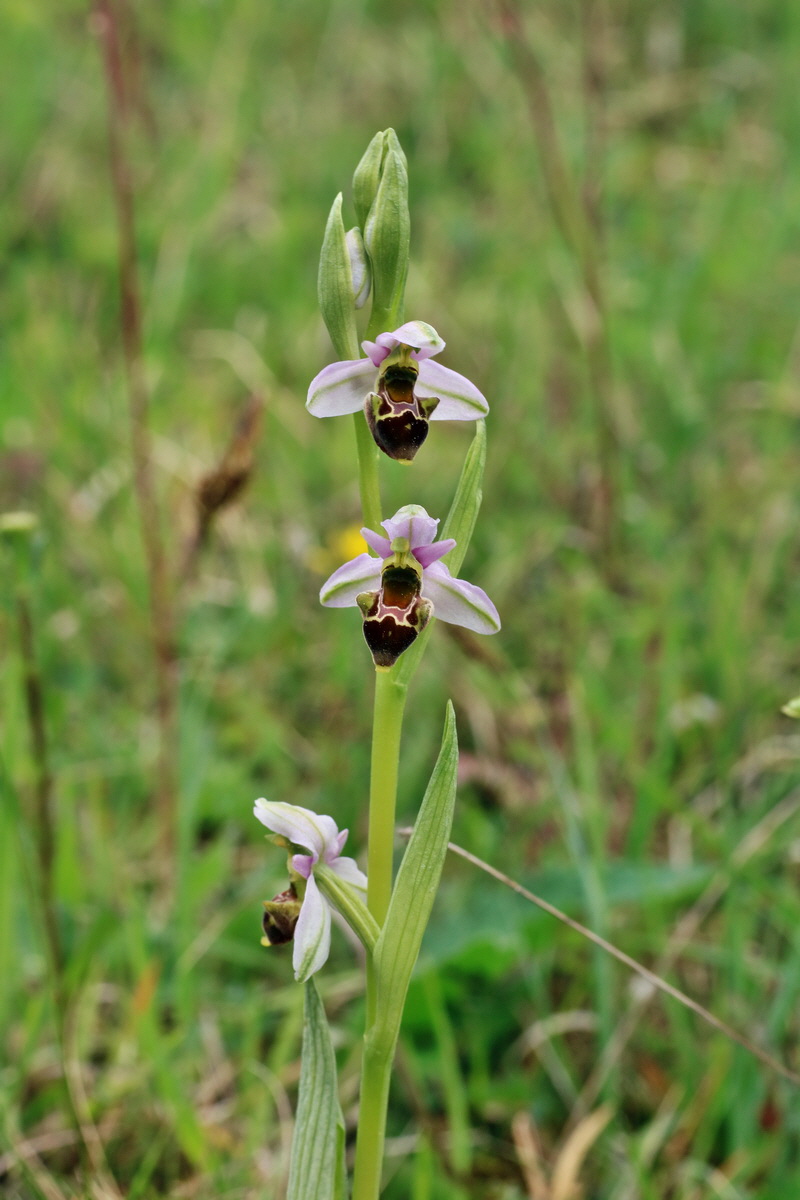 IMG-2016-05-18-00015517p_Bildgr��e �ndern