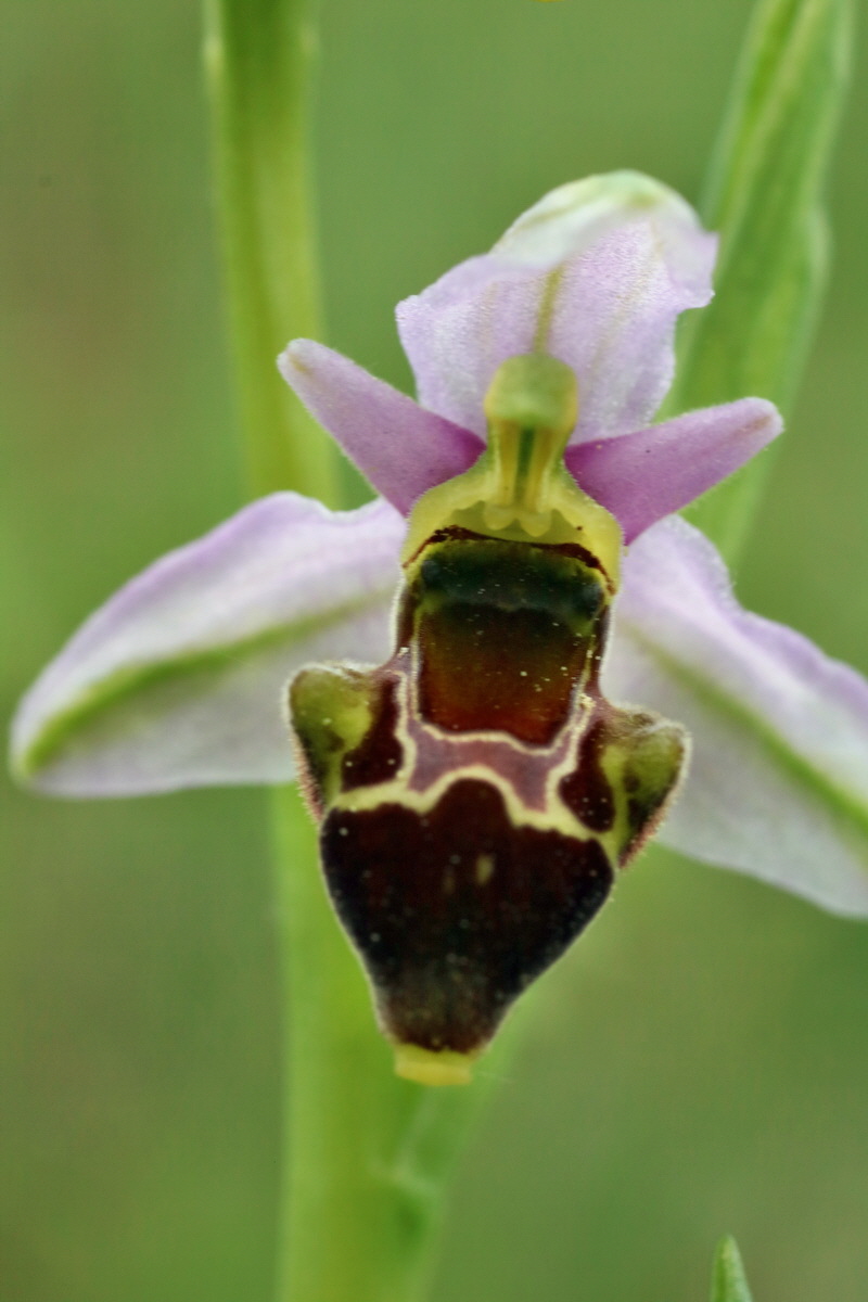 IMG-2016-05-18-00015519p_Bildgr��e �ndern