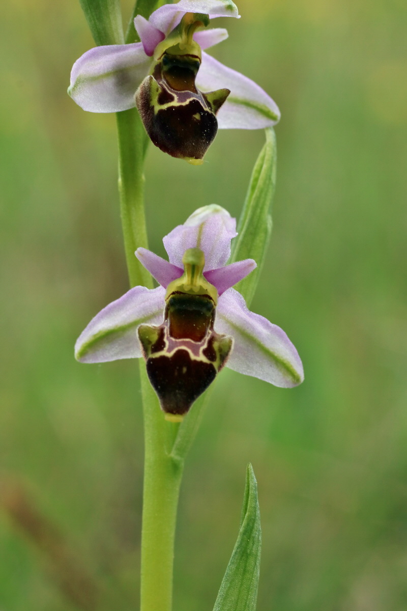 IMG-2016-05-18-00015526p_Bildgr��e �ndern