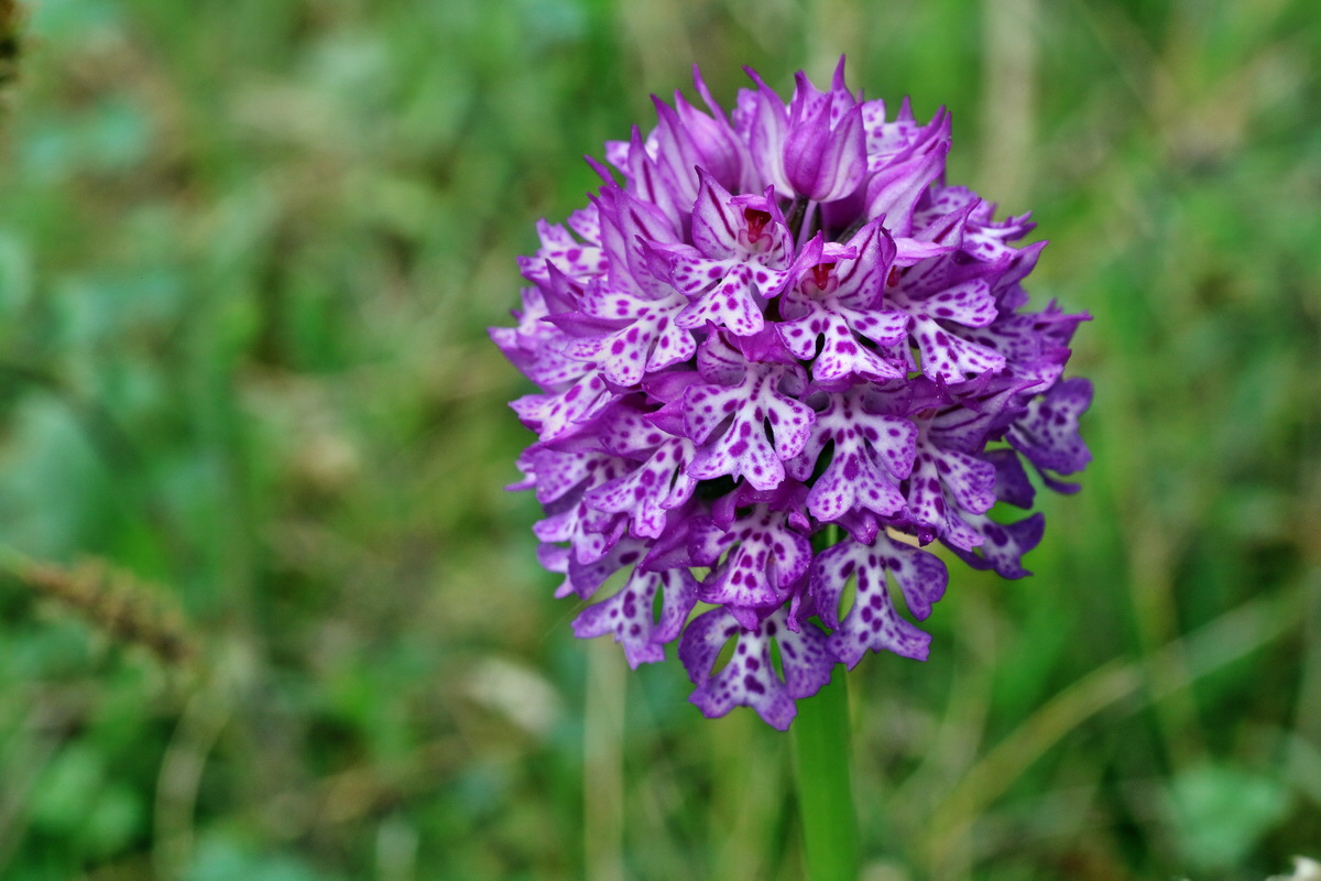 IMG-2016-05-18-00015532p_Bildgr��e �ndern