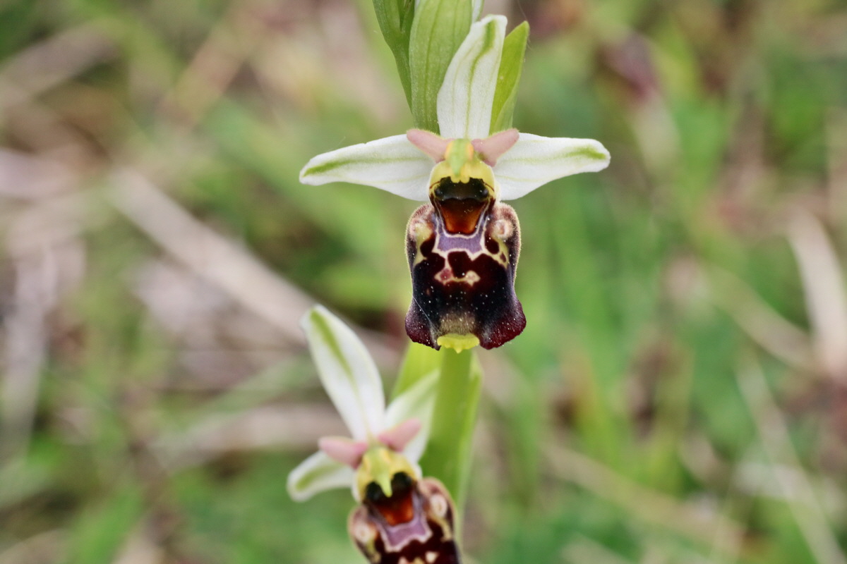 IMG-2016-05-18-00015540p_Bildgr��e �ndern