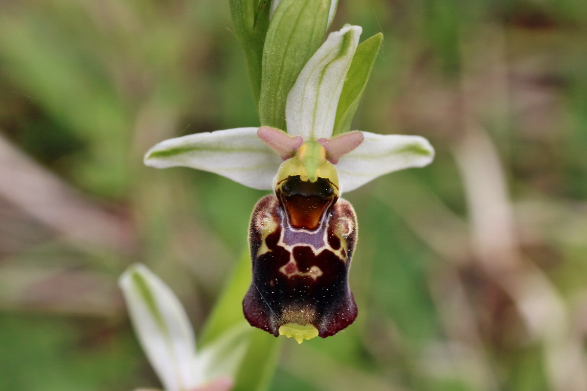 IMG-2016-05-18-00015543p_Bildgr��e �ndern