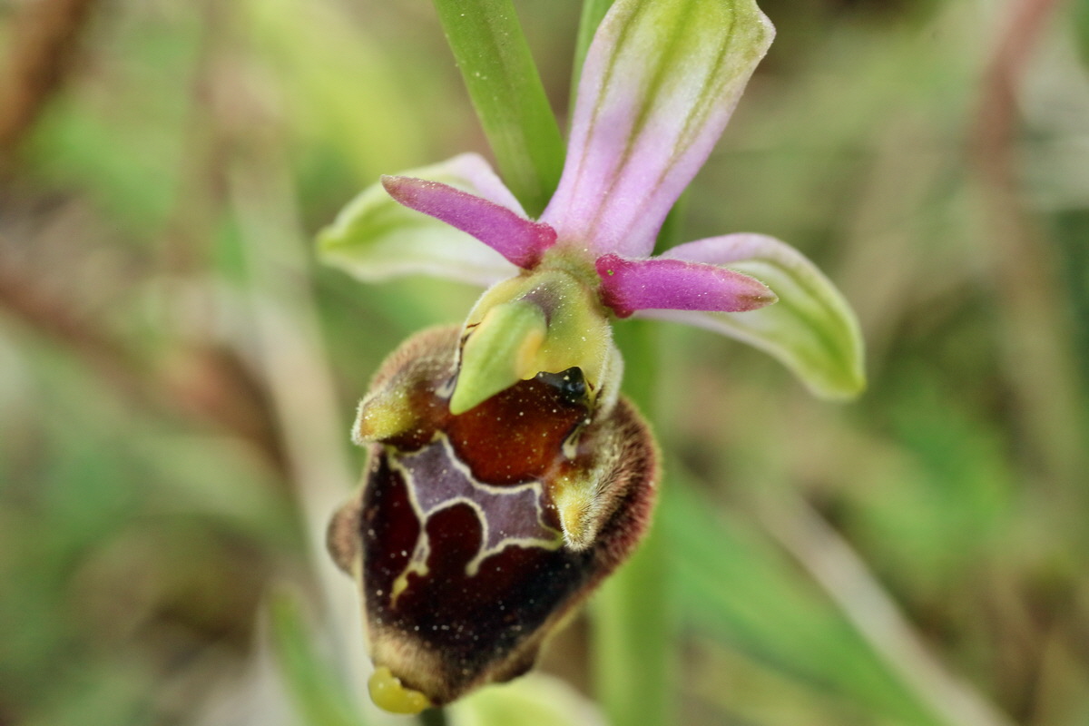 IMG-2016-05-18-00015551p_Bildgr��e �ndern