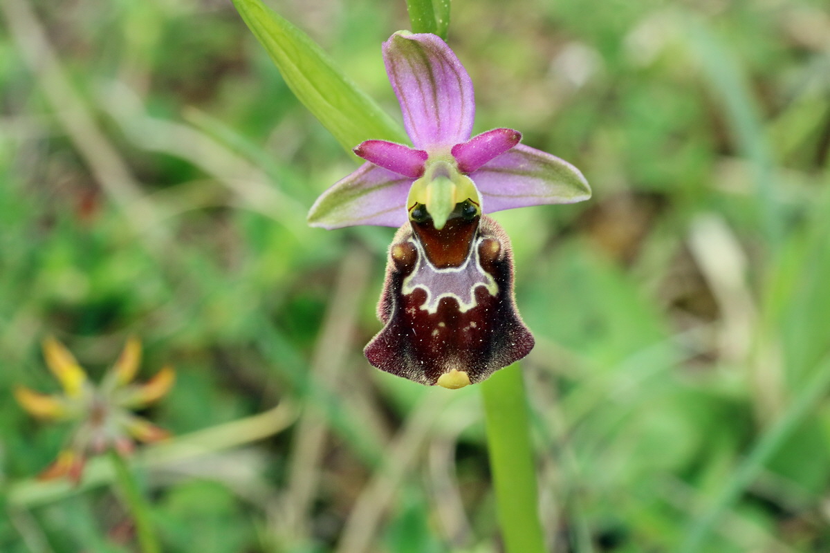 IMG-2016-05-18-00015559p_Bildgr��e �ndern