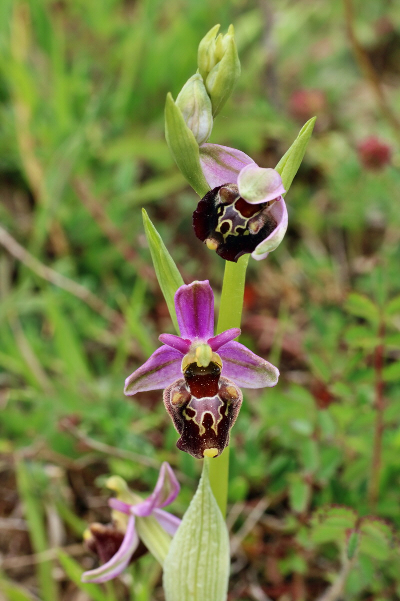 IMG-2016-05-18-00015562p_Bildgr��e �ndern