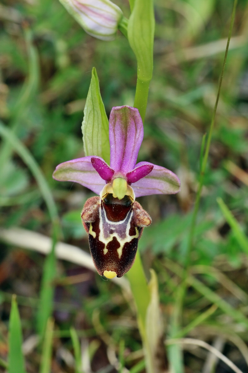 IMG-2016-05-18-00015568p_Bildgr��e �ndern