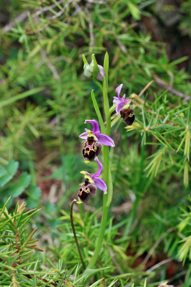 IMG-2016-05-18-00015570p_Bildgr��e �ndern