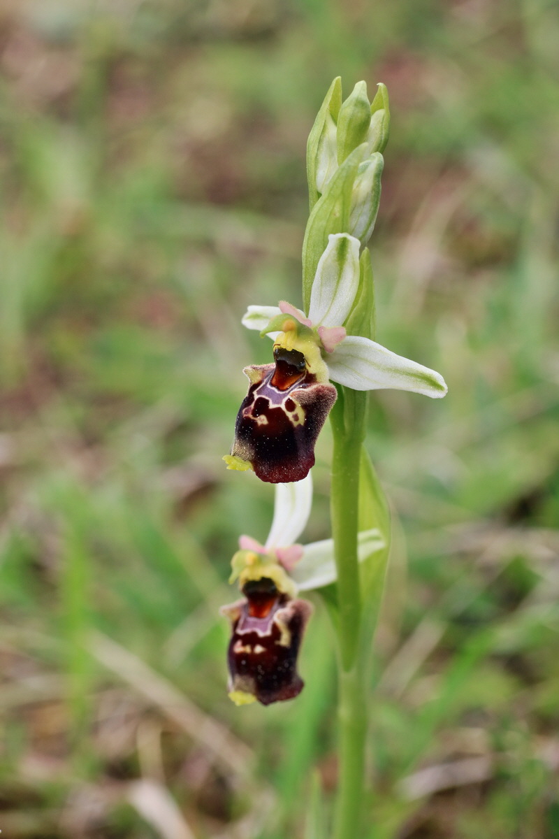 IMG-2016-05-18-00015574p_Bildgr��e �ndern