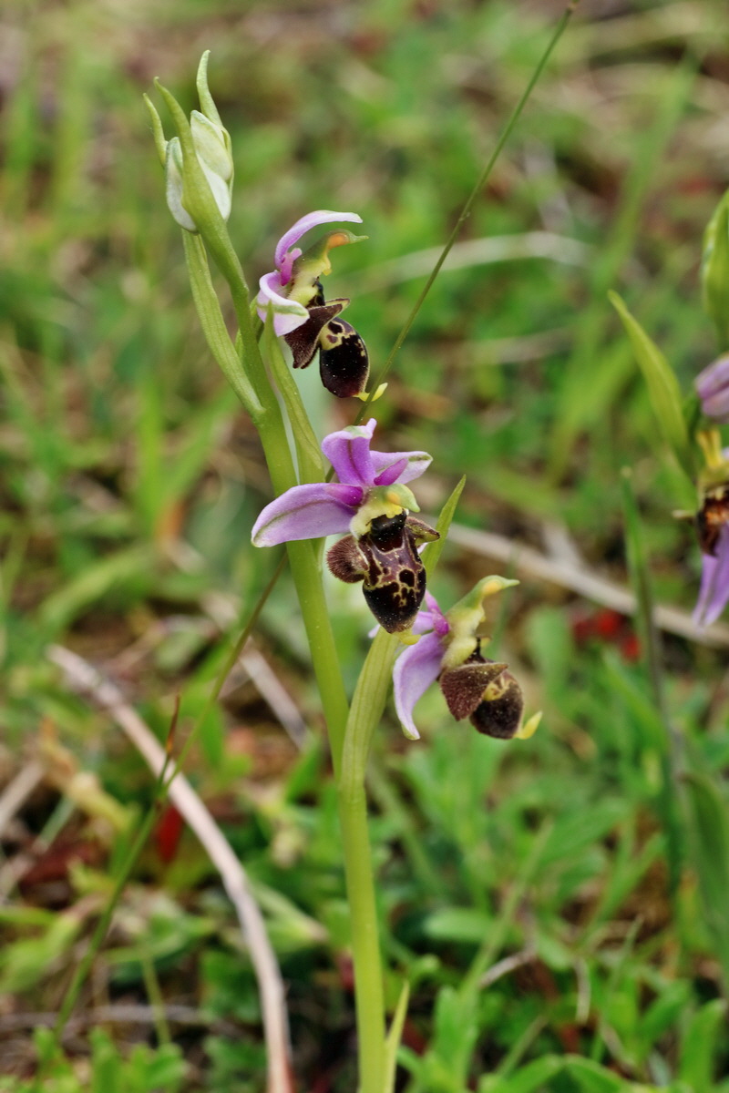 IMG-2016-05-18-00015577p_Bildgr��e �ndern