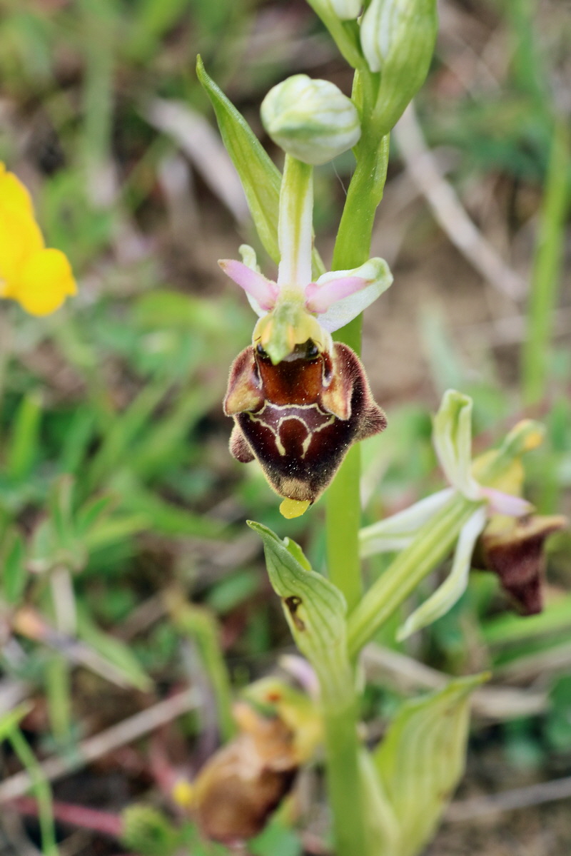 IMG-2016-05-18-00015580p_Bildgr��e �ndern