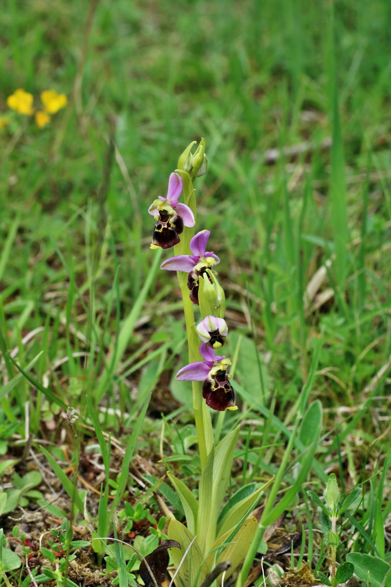 IMG-2016-05-18-00015583p_Bildgr��e �ndern