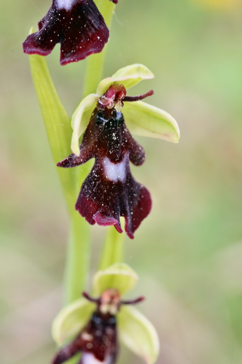 IMG-2016-05-18-00015590p_Bildgr��e �ndern