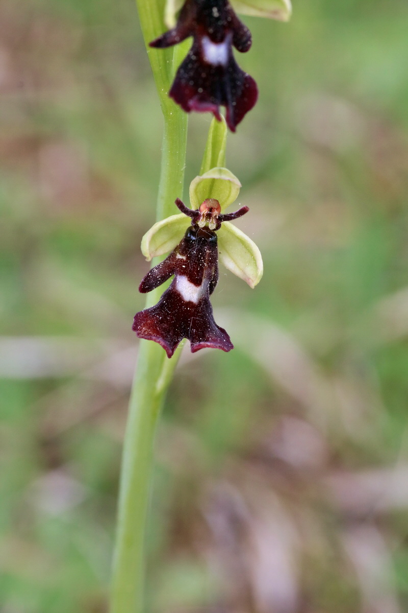 IMG-2016-05-18-00015592p_Bildgr��e �ndern