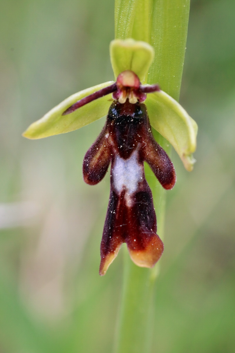 IMG-2016-05-18-00015598p_Bildgr��e �ndern