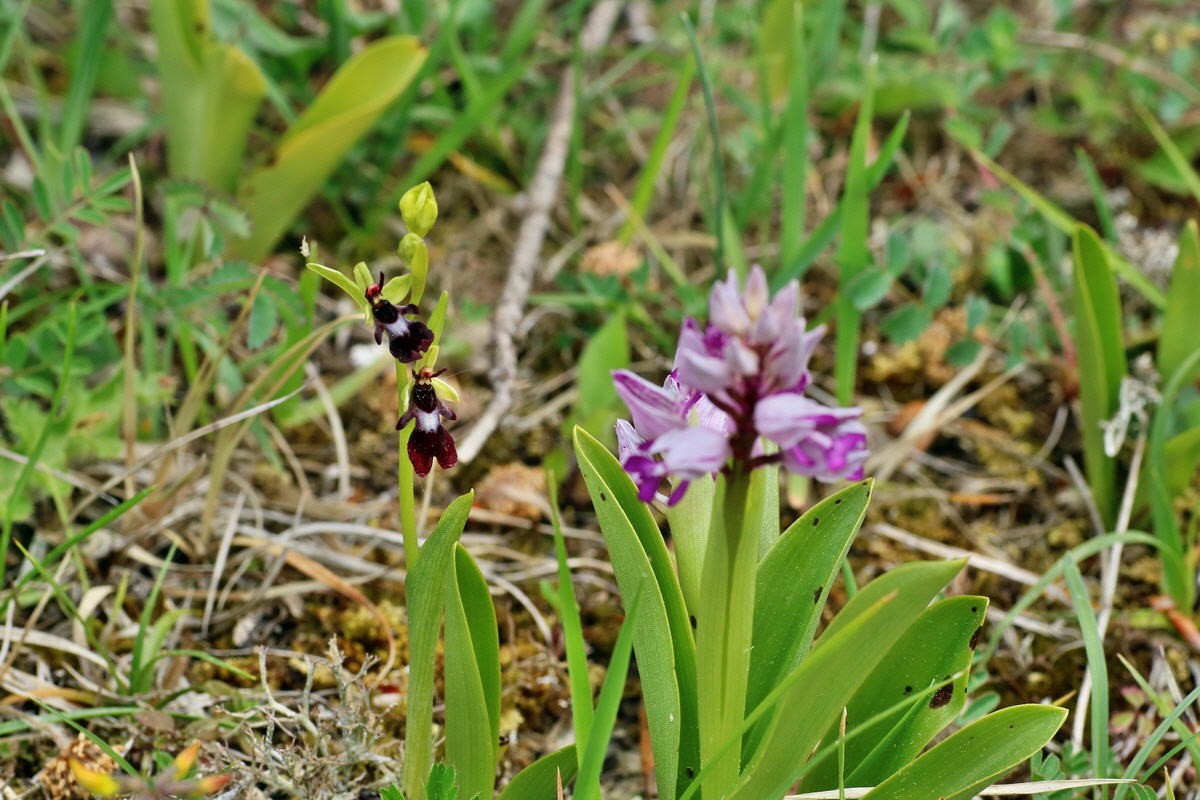 IMG-2016-05-18-00015610p_Bildgr��e �ndern