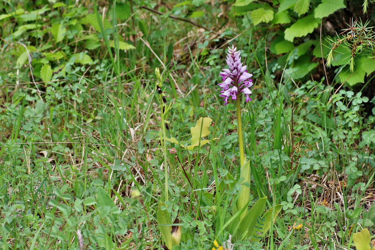 IMG-2016-05-18-00015614p_Bildgr��e �ndern