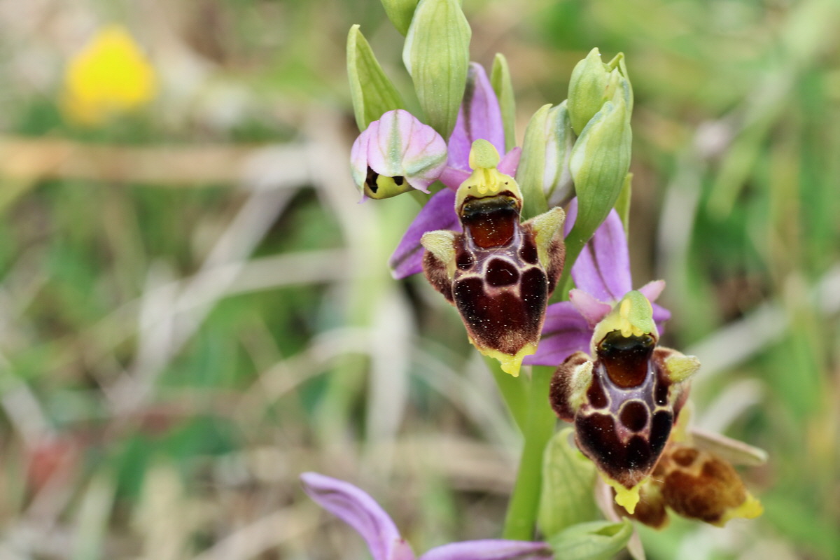 IMG-2016-05-18-00015624p_Bildgr��e �ndern