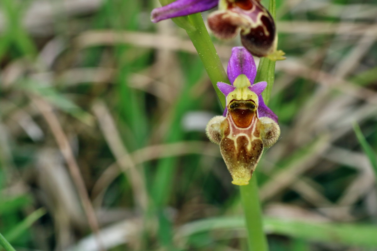 IMG-2016-05-18-00015631p_Bildgr��e �ndern