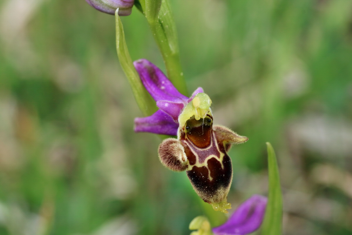 IMG-2016-05-18-00015634p_Bildgr��e �ndern