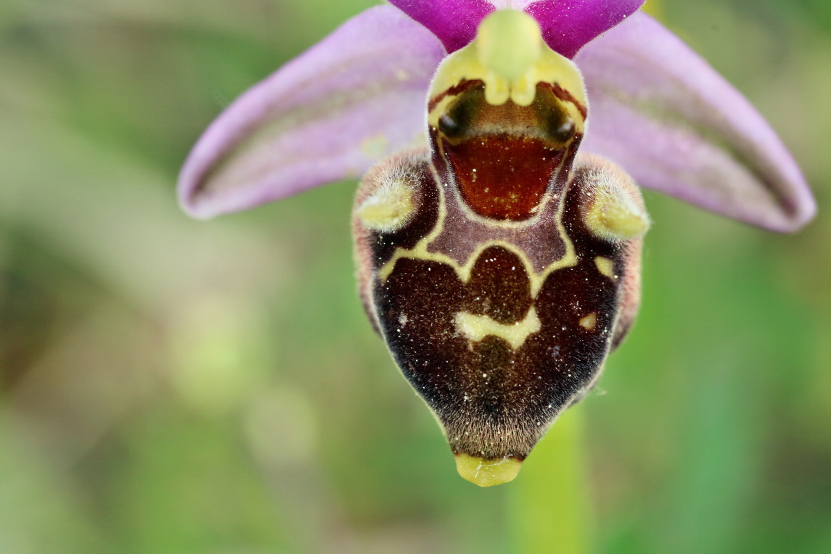 IMG-2016-05-18-00015638p_Bildgr��e �ndern