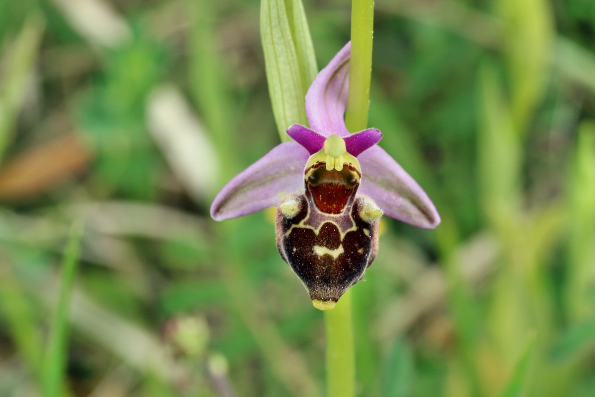 IMG-2016-05-18-00015643p_Bildgr��e �ndern