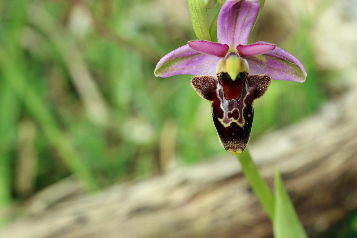 IMG-2016-05-18-00015645p_Bildgr��e �ndern