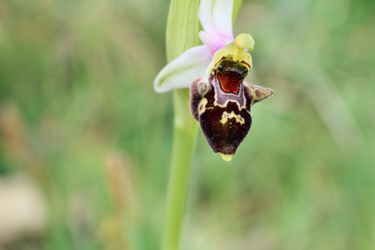 IMG-2016-05-18-00015648p_Bildgr��e �ndern